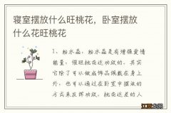 寝室摆放什么旺桃花，卧室摆放什么花旺桃花