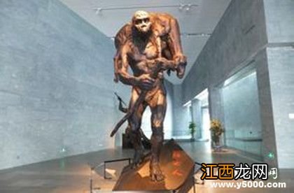 北京人化石失踪谜案：北京人化石为什么失踪了