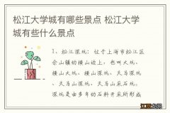 松江大学城有哪些景点 松江大学城有些什么景点