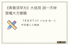 《青春须早为》大结局 胡一天钟楚曦大方撒糖