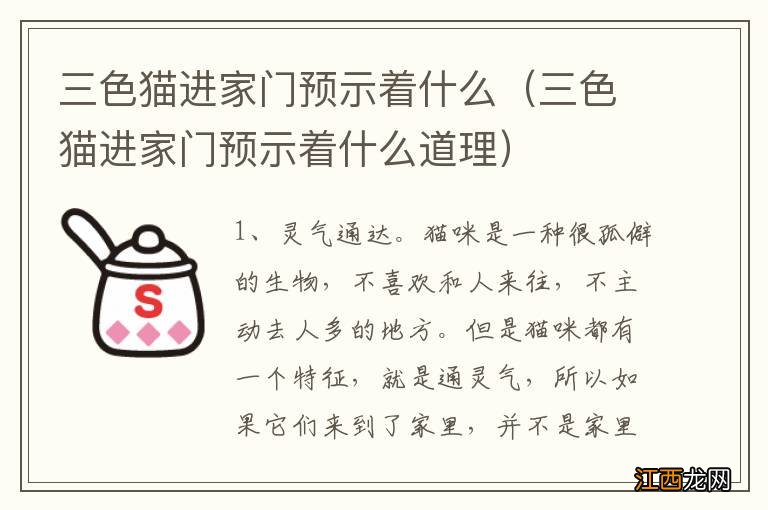 三色猫进家门预示着什么道理 三色猫进家门预示着什么