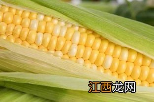 甜玉米可以直接生吃吗-甜玉米生吃会不会拉肚子