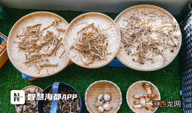 这所幼儿园不一般！孩子们化身“小药童”，抓药、称药、磨药样样精通