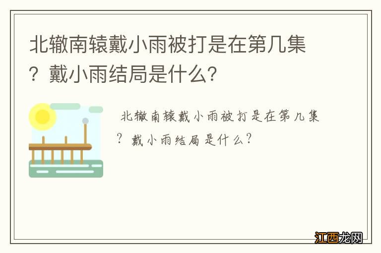 北辙南辕戴小雨被打是在第几集？戴小雨结局是什么？