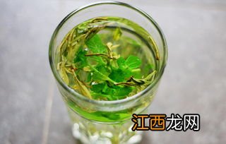 湿气重的人可以喝薄荷叶泡水吗-湿气重喝薄荷水好不好