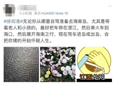 开车去海南,却遭遇“大堵车”,有人3小时只挪了300米!三亚海鲜标价几百元1斤?网友:涨得离谱