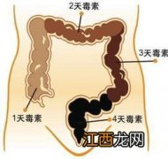 便秘吃什么效果最快-便秘老不好怎么办