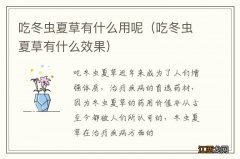 吃冬虫夏草有什么效果 吃冬虫夏草有什么用呢