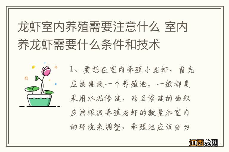 龙虾室内养殖需要注意什么 室内养龙虾需要什么条件和技术