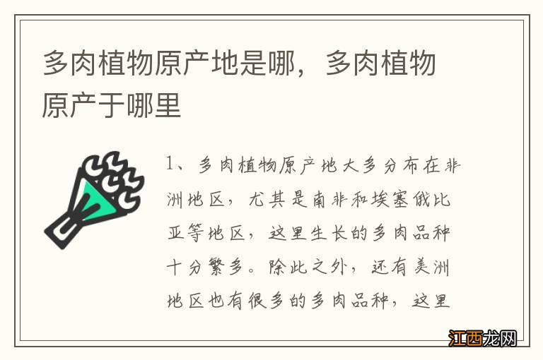 多肉植物原产地是哪，多肉植物原产于哪里