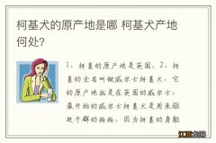 柯基犬的原产地是哪 柯基犬产地何处?