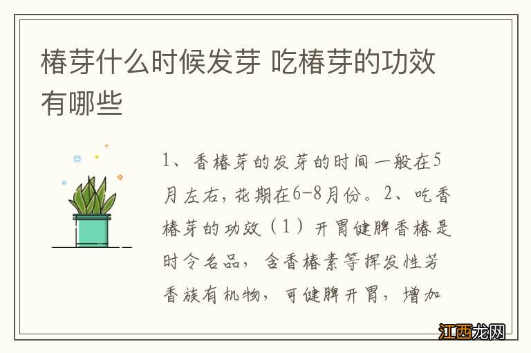 椿芽什么时候发芽 吃椿芽的功效有哪些