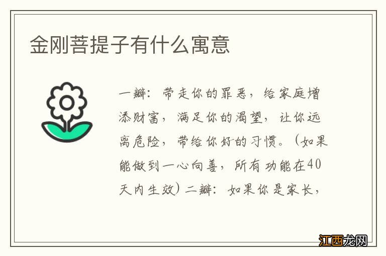 金刚菩提子有什么寓意