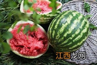 西瓜打开放冰箱2天还能吃吗-西瓜打开放冰箱5天还能吃吗