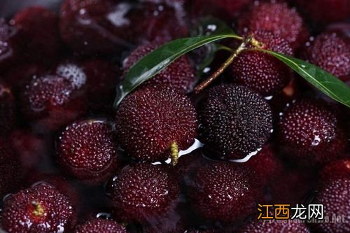 杨梅泡盐水要泡几分钟-杨梅泡盐水多久可以吃