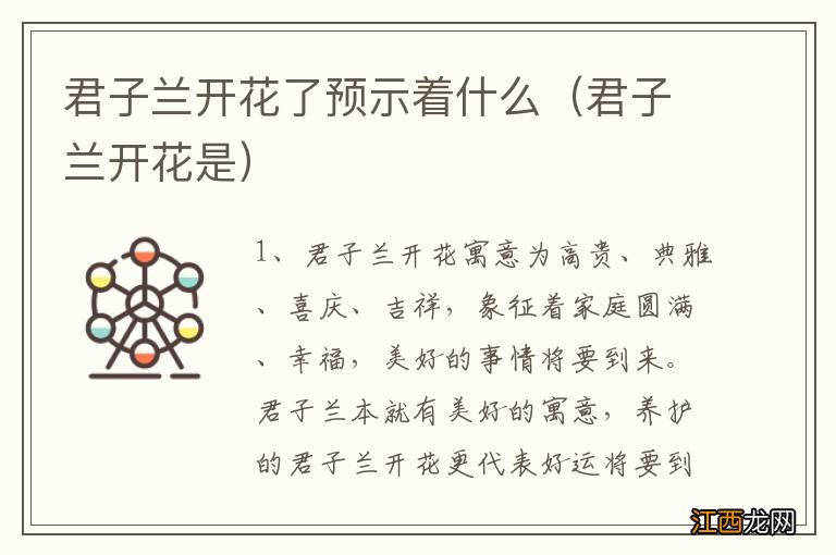 君子兰开花是 君子兰开花了预示着什么