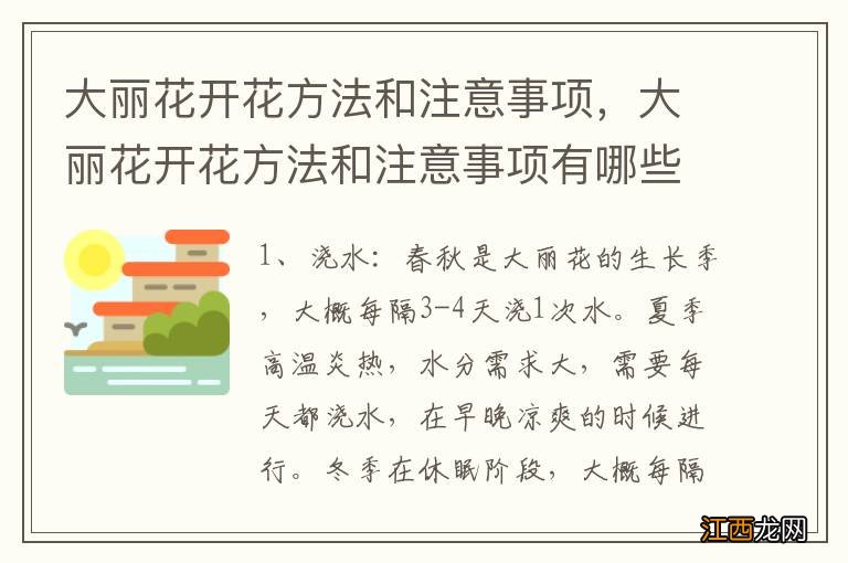 大丽花开花方法和注意事项，大丽花开花方法和注意事项有哪些