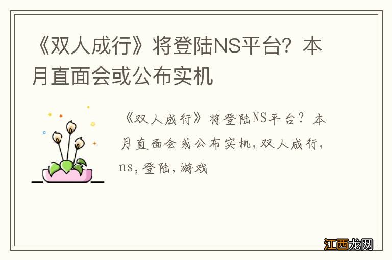 《双人成行》将登陆NS平台？本月直面会或公布实机