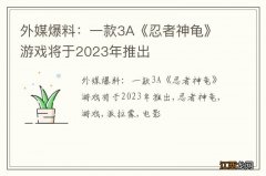 外媒爆料：一款3A《忍者神龟》游戏将于2023年推出