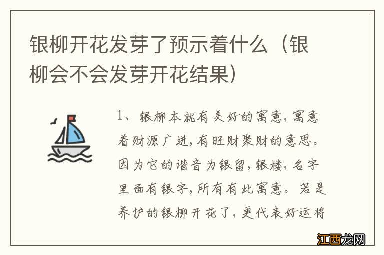 银柳会不会发芽开花结果 银柳开花发芽了预示着什么