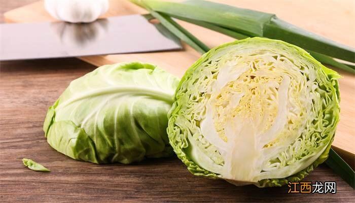 卷心菜是叶子还是茎还是根 卷心菜是叶子还是茎