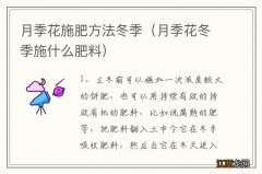 月季花冬季施什么肥料 月季花施肥方法冬季