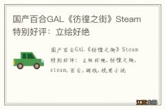 国产百合GAL《彷徨之街》Steam特别好评：立绘好绝