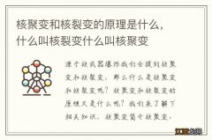 核聚变和核裂变的原理是什么，什么叫核裂变什么叫核聚变