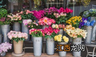 如何给老桩施肥 花卉老桩冬季施肥方法