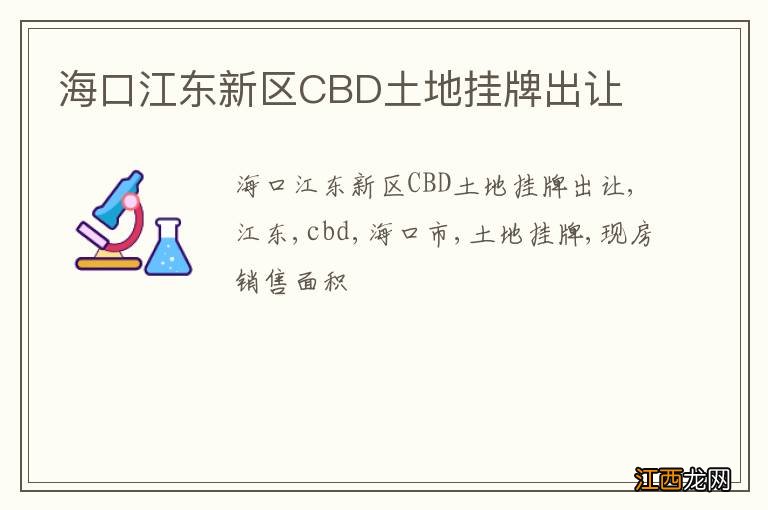 海口江东新区CBD土地挂牌出让