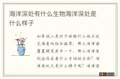 海洋深处有什么生物海洋深处是什么样子