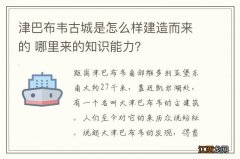 津巴布韦古城是怎么样建造而来的 哪里来的知识能力？