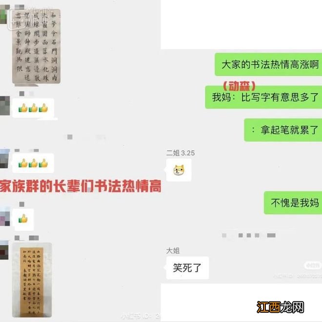 我带妈妈玩动森——妈妈们的可爱行为大赏