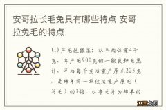 安哥拉长毛兔具有哪些特点 安哥拉兔毛的特点