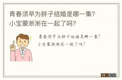 青春须早为胖子结婚是哪一集？小宝蒙淅淅在一起了吗？