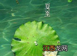 夏至下雨三伏天热吗-夏至和三伏天哪个最热