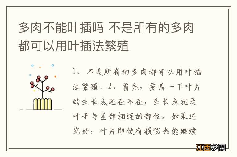 多肉不能叶插吗 不是所有的多肉都可以用叶插法繁殖