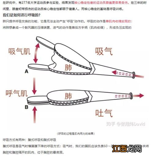 收紧核心后一吸气就松了-核心收紧是吸气还是吐气