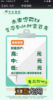 中宏保险是一家什么样的公司？