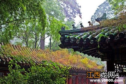 潭柘寺十景指哪十景 潭柘寺赏析