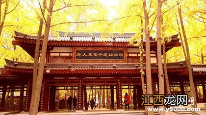 大慈恩寺建造的原因谁建造的 大慈恩寺的由来