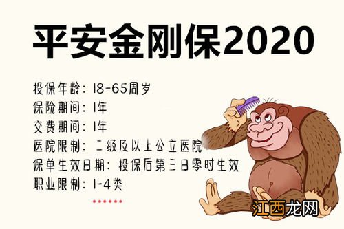 平安金刚保2020在哪里买？