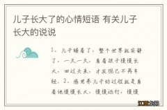 儿子长大了的心情短语 有关儿子长大的说说