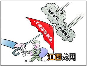 大病保险由什么组成?