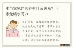 家兔喝水吗? 水与家兔的营养有什么关系？