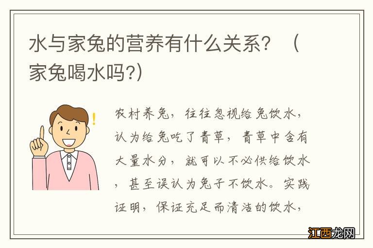 家兔喝水吗? 水与家兔的营养有什么关系？