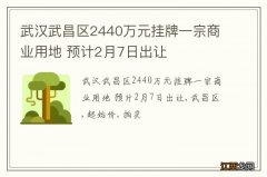 武汉武昌区2440万元挂牌一宗商业用地 预计2月7日出让