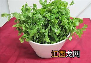 吃香菜会增加黑色素吗-香菜会加速黑色素沉淀吗