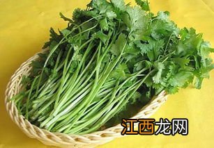 吃香菜会增加黑色素吗-香菜会加速黑色素沉淀吗