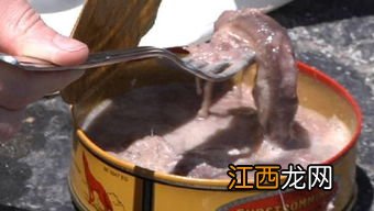 鲱鱼罐头的臭味像什么-为什么会有鲱鱼罐头这种食物